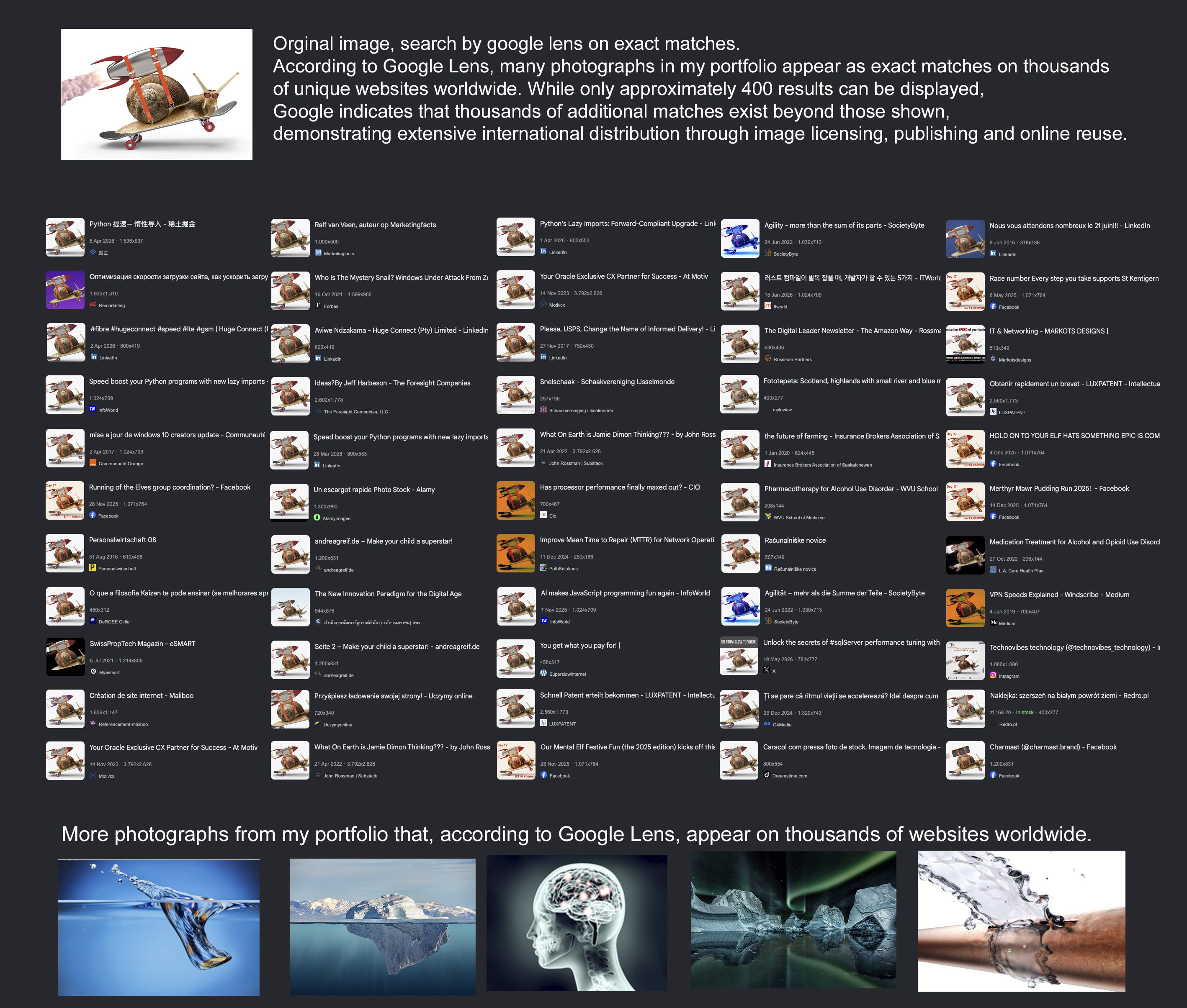 Google Lens results showing extensive distribution of Rico Ploeg photographs