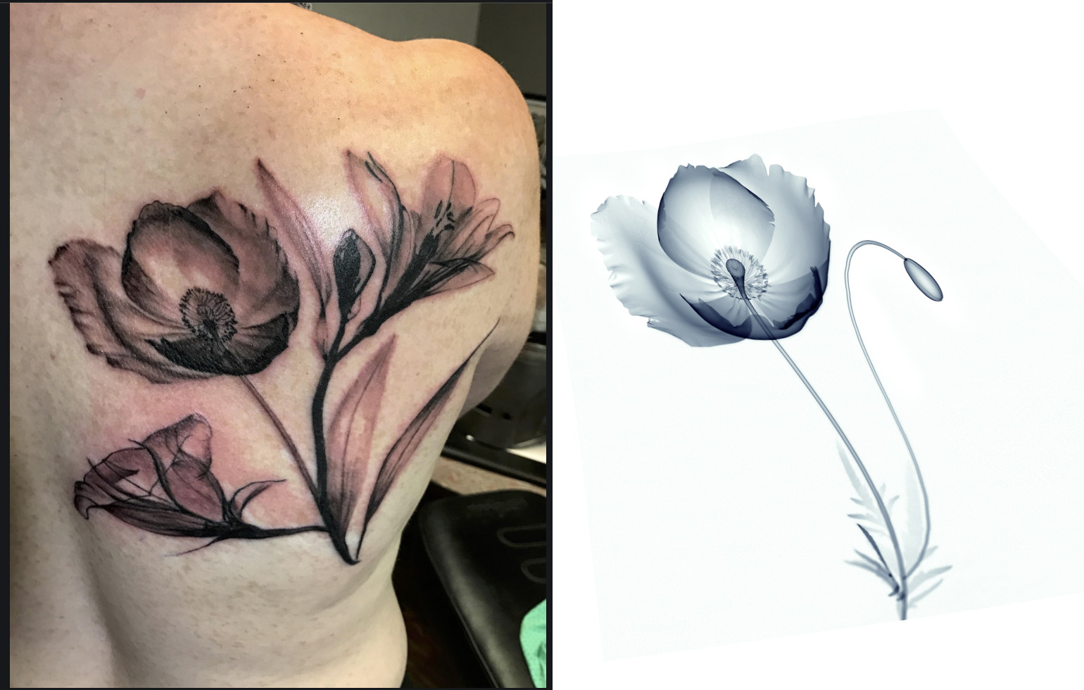Tattoo inspired by botanical photograph by Rico Ploeg