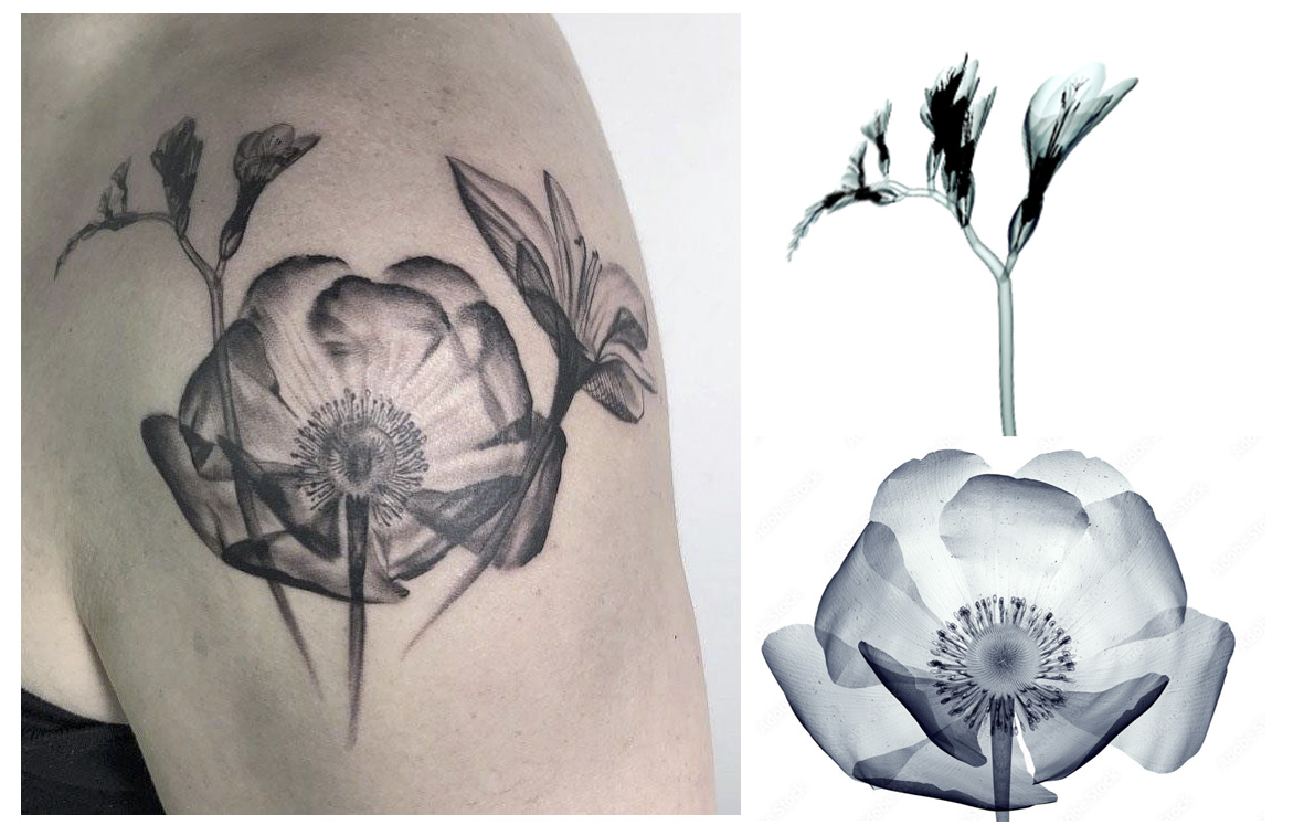 Tattoo artwork inspired by botanical photography